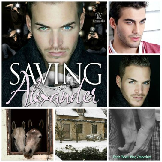 Cover of the bonus scene for Saving Alexander